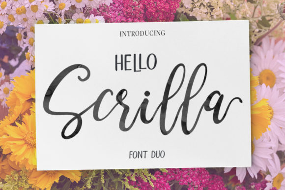 Hello Scrilla Script Font Font