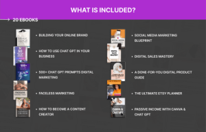 Alternative view of 20 PLR Business EBook Bundle