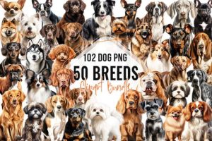 50 Breeds 102 Dogs Png Clipart Bundle