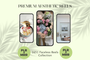 Alternative view of Aesthetic Instagram Reels PLR MRR Videos