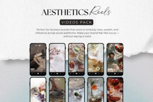 Alternative view of Aesthetics Instagram Reels Video