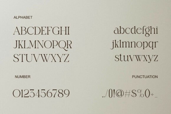 Amanda Font - Image 5