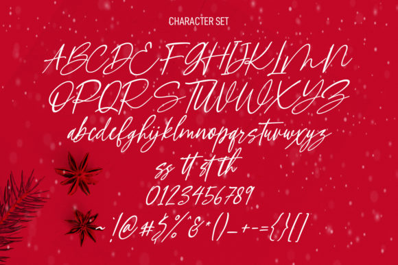 Another Christmas Script Font - Image 8