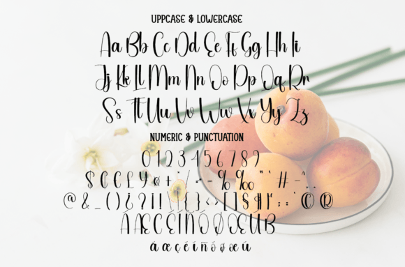 Apricot Font - Image 7
