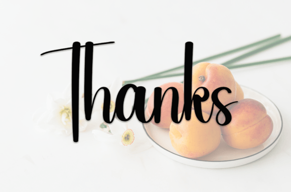 Apricot Font - Image 8