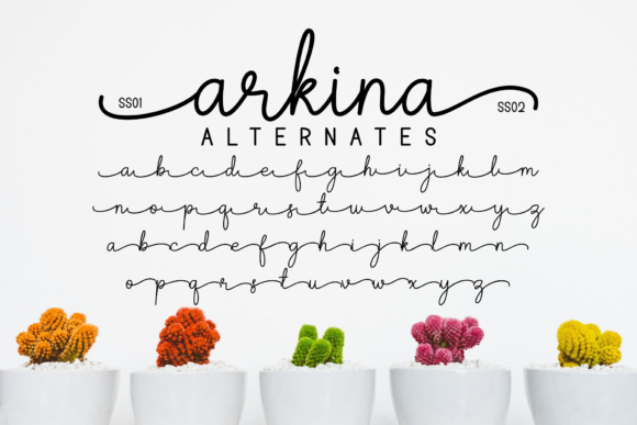 Arkina Duo Font - Image 8