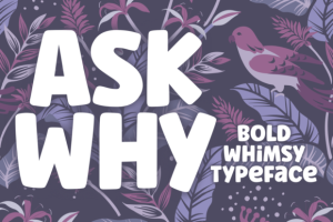 Ask Why Font