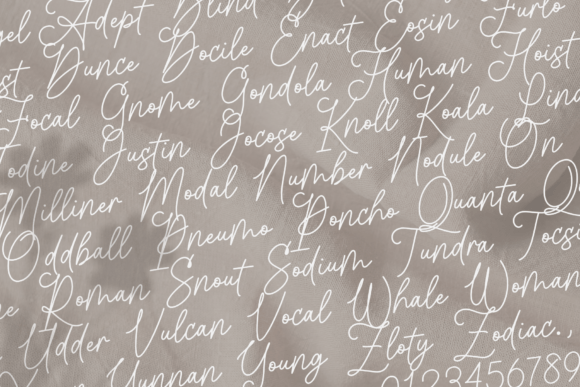 Astutely Font - Image 3