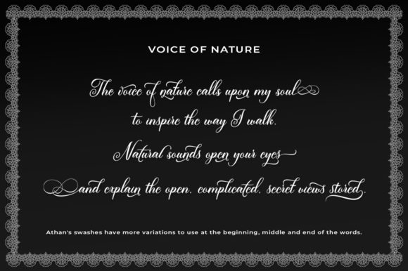 Athan Script Font - Image 8