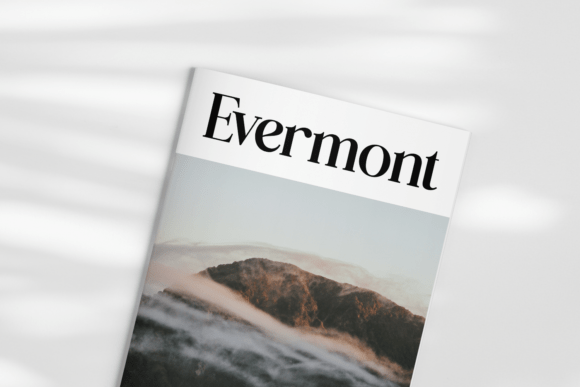 Balogem - Modern Serif Typeface Font - Image 3