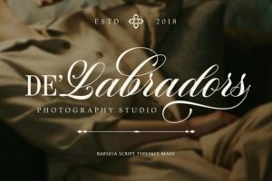 Alternative view of Barsela Calligraphy Font