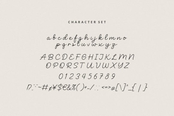 Beauty Story Font - Image 8
