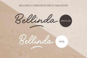 Alternative view of Bellinda – Modern Calligraphy Fonts Font