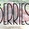 Berries Font