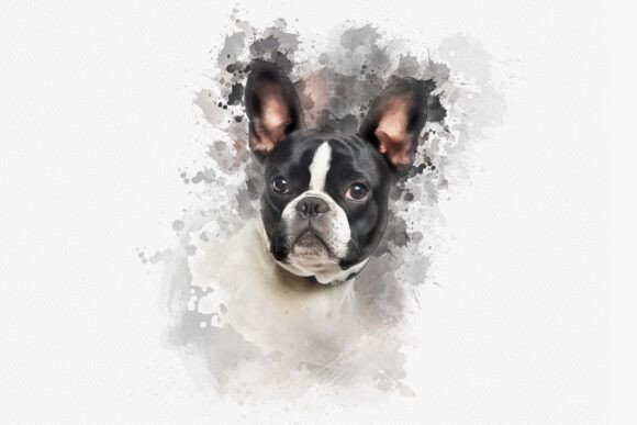 Best Photoshop Actions for Portraits - Image 6