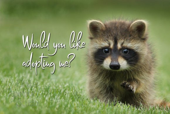 Bestya Stencil Font - Image 4