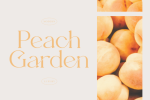 Alternative view of Beverly Font