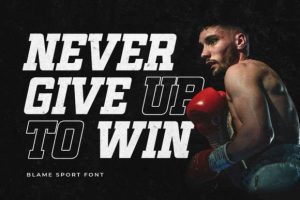 Alternative view of Blame Sport Font