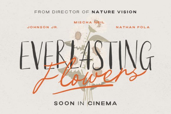 Bluebird Melody Font - Image 5