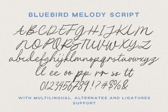 Bluebird Melody Font - Image 8