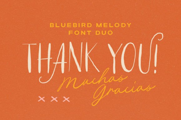 Bluebird Melody Font - Image 9