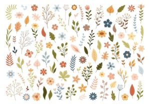 Alternative view of Boho Floral Clipart, Flower Svg Png