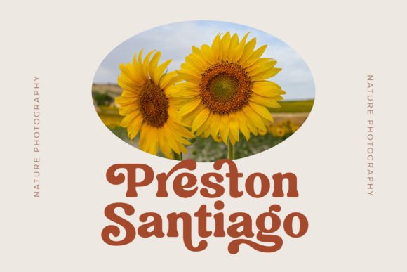 Bremlin Font - Image 5