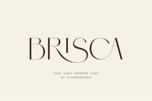 Brisca Font