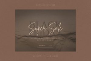 Alternative view of Brittany Signature Script Font