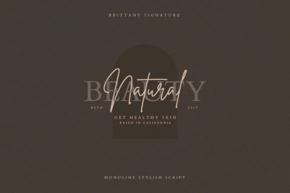 Brittany Signature Script Font - Image 8