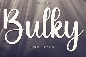 Bulky Font