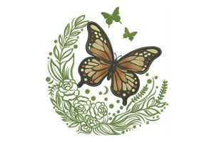 Alternative view of Butterfly