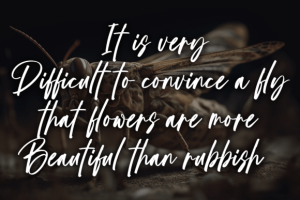 Alternative view of Butterfly Font