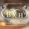 Butterfly Heart Monogram Font