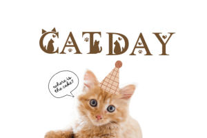 Alternative view of Cat Font Font