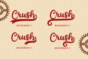 Alternative view of Charter Winter Font