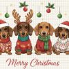 Christmas Dachshund Dogs PNG