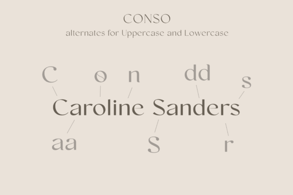 Conso Font - Image 8