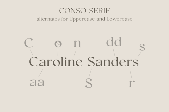 Conso Font - Image 8