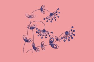 Alternative view of Dandelion Flowers