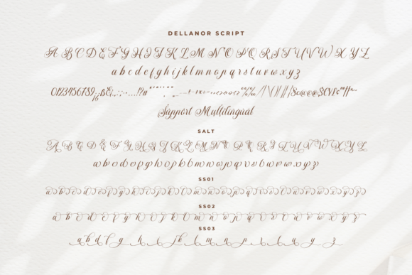 Dellanor Script Font - Image 8