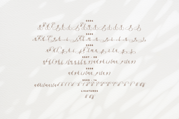 Dellanor Script Font - Image 9