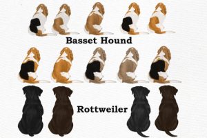 Alternative view of Dog Clipart