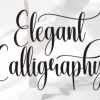 Elegant Calligraphy Font