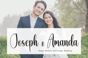 Alternative view of Elegant Calligraphy Font