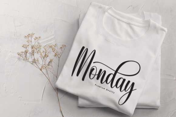 Elegant Calligraphy Font - Image 4