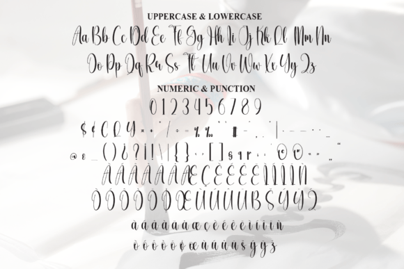 Elegant Calligraphy Font - Image 7