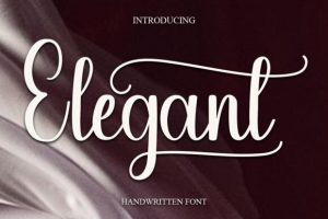 Elegant Font