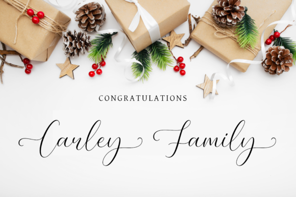 Elegant Font - Image 3