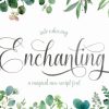 Enchanting Script Font
